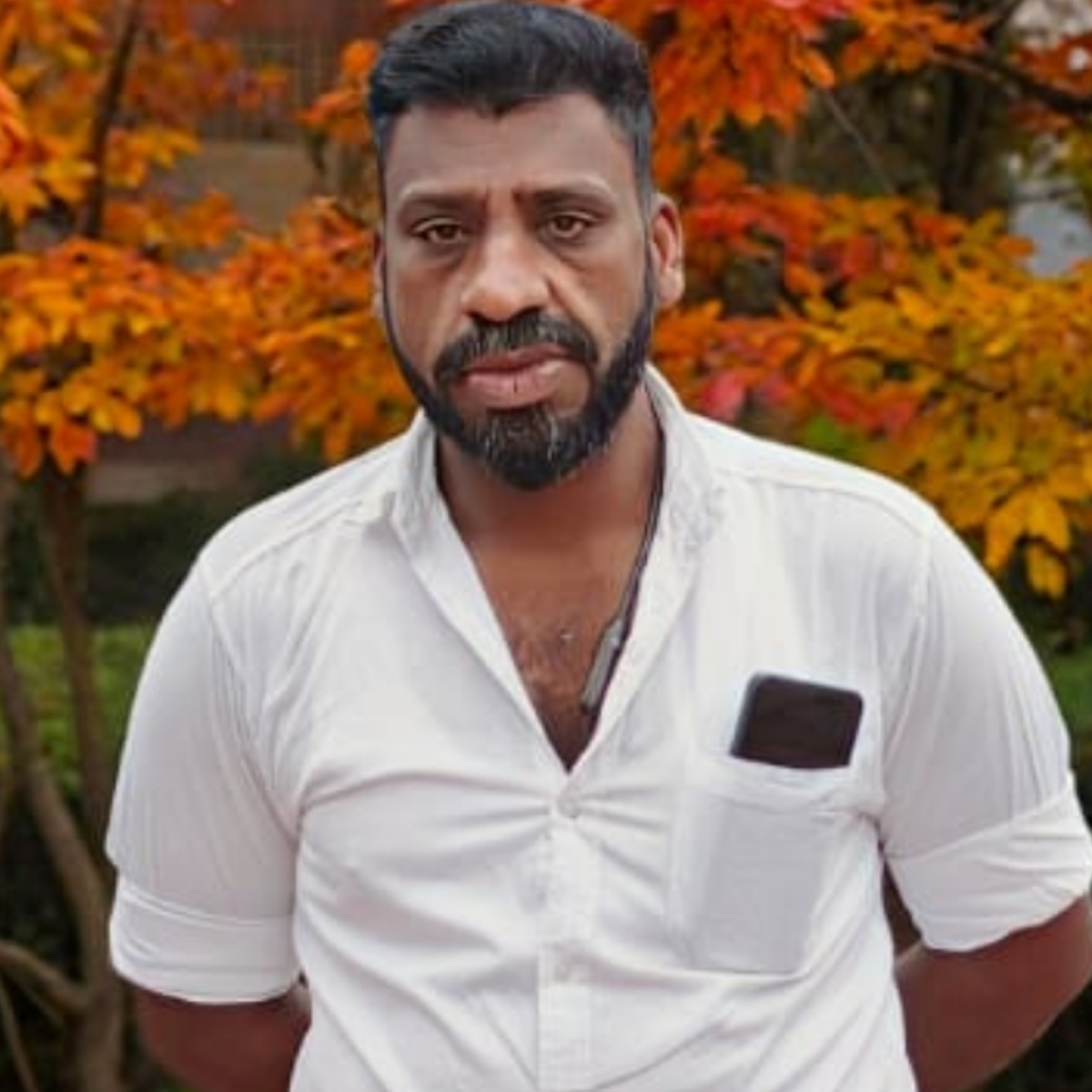 Mujib T