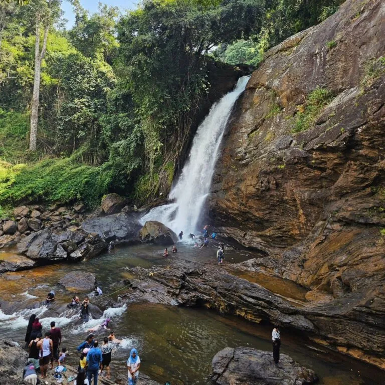 സൂചിപ്പാറ വെള്ളച്ചാട്ടം 
