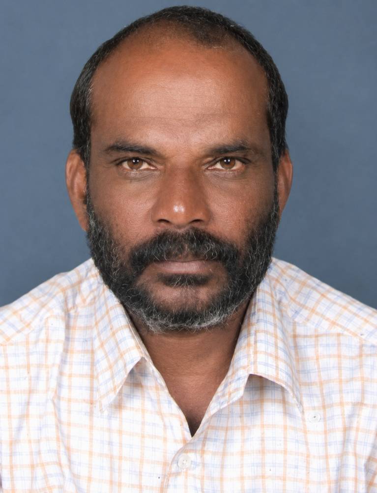 Chairperson, Development Standing Committee