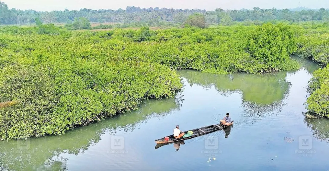 കണ്ടൽ ഗ്രാമം