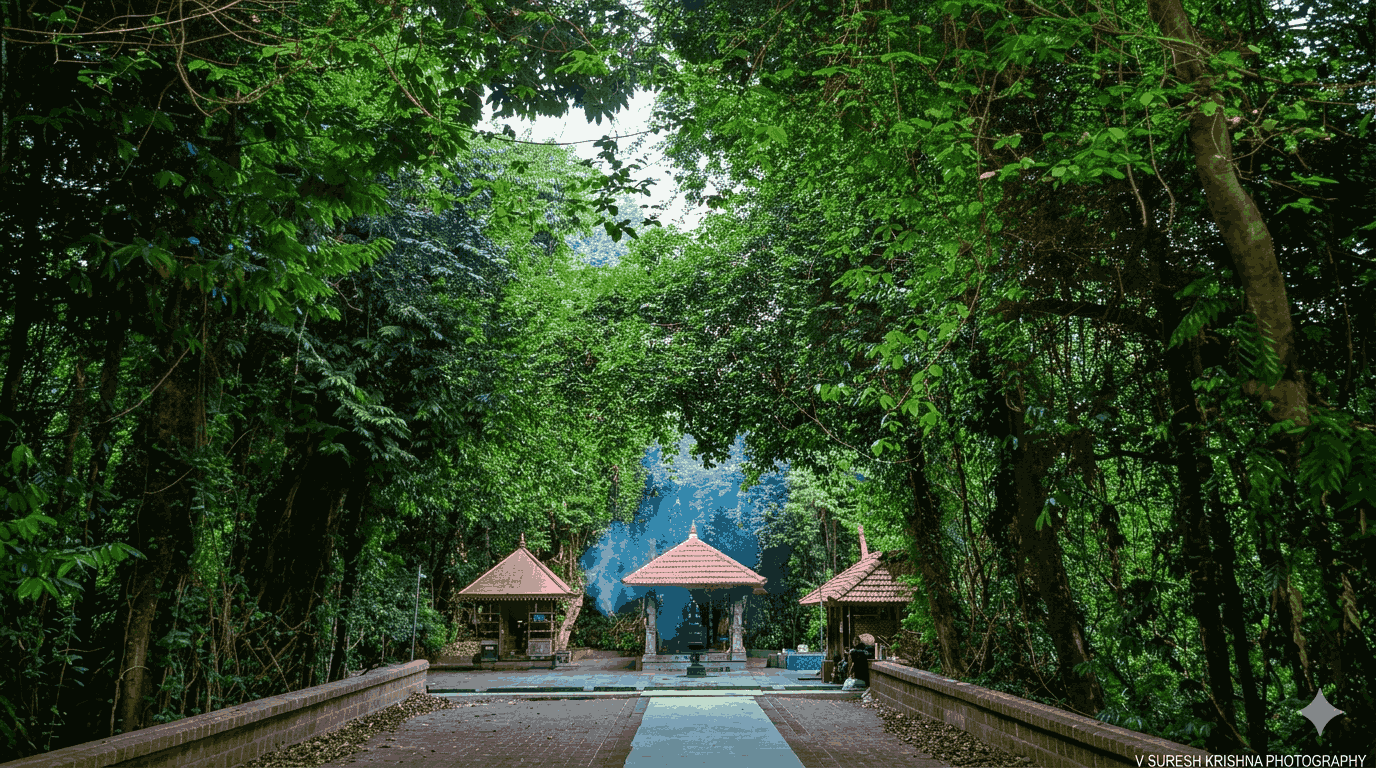 Paliyeri mookambika kavu
