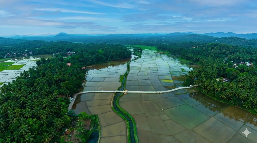 കോണ്‍ക്രീറ്റ് നടപ്പാത പലിയേരി 