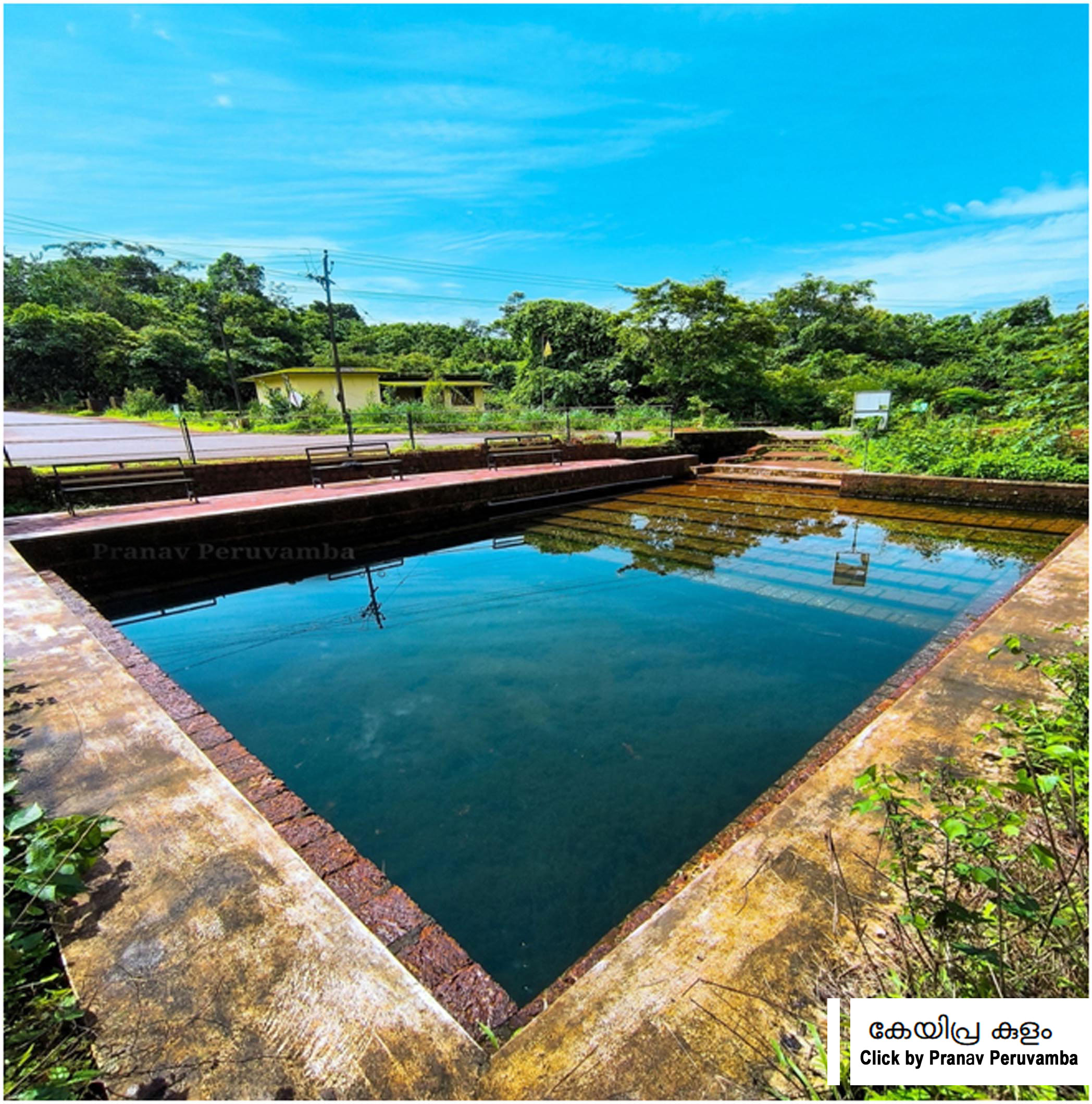 കോയിപ്ര കുളം 