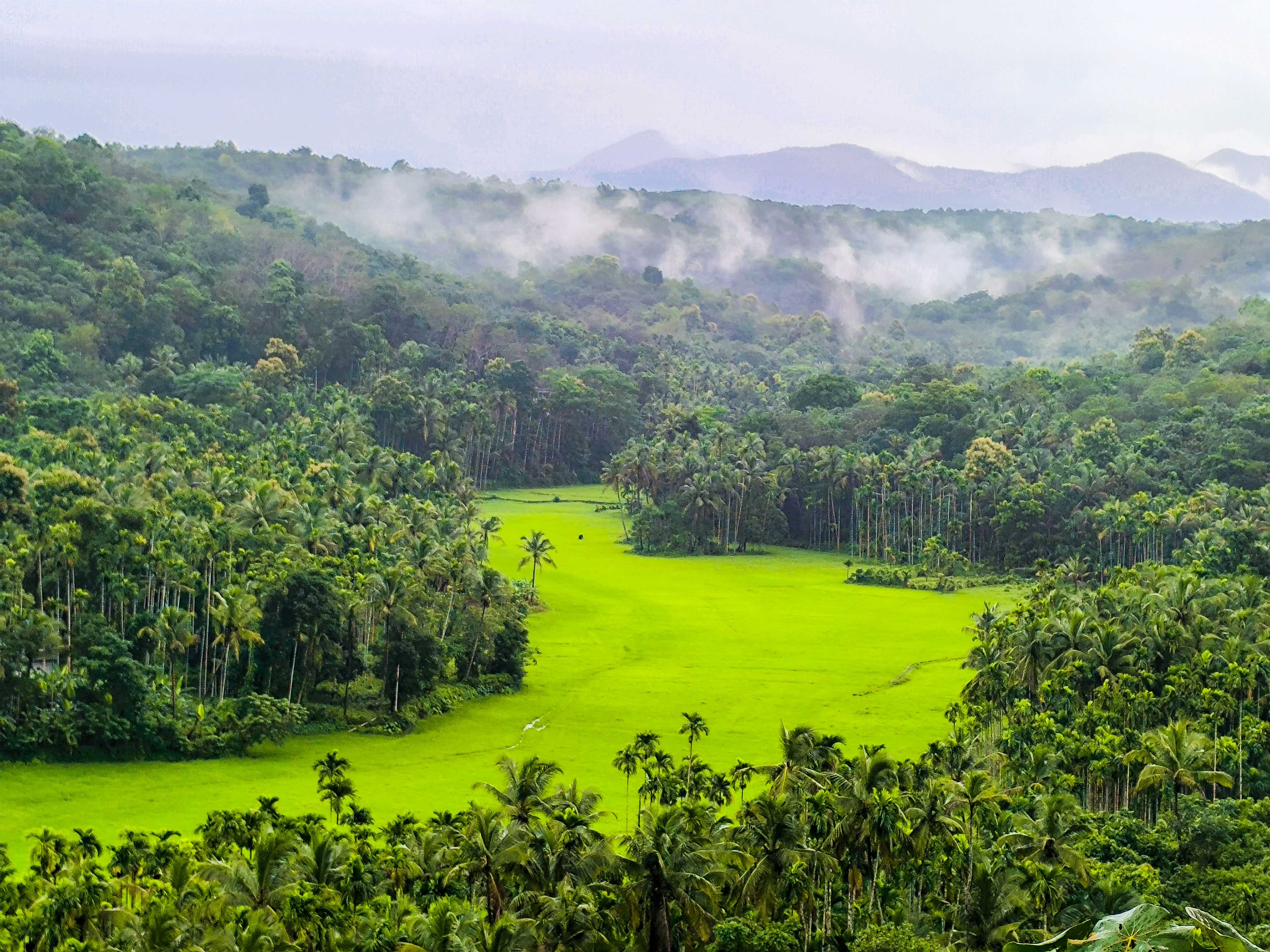 ഭൂമിശാസ്ത്രം