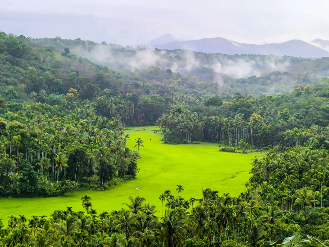 എരമം കുറ്റൂര്‍ ഗ്രാമപഞ്ചായത്തിലൂടെ 