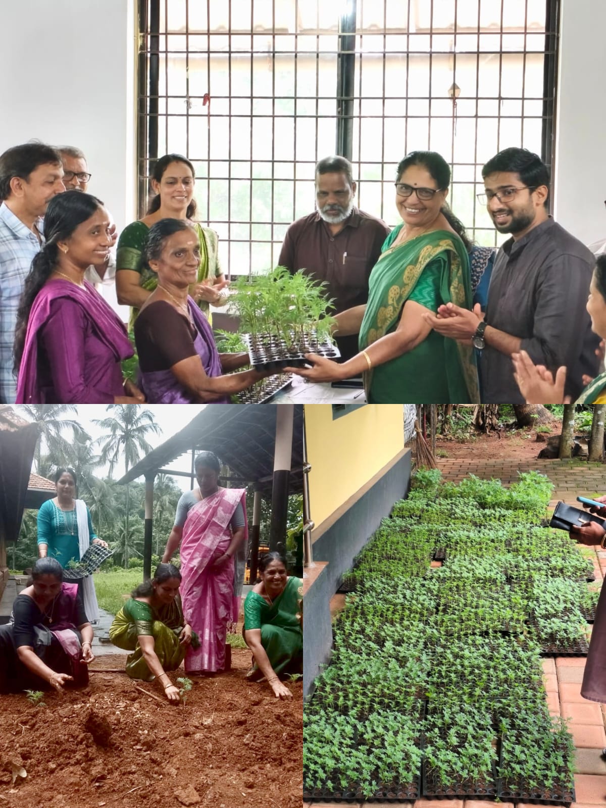 ഓണത്തിന് ഒരു കൊട്ടപ്പൂവ്