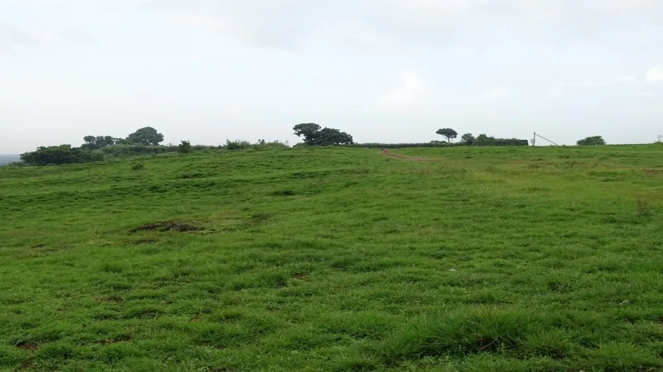 മാടായിപ്പാറ
