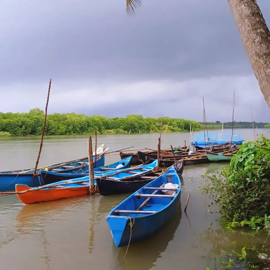 കുപ്പം പുഴ