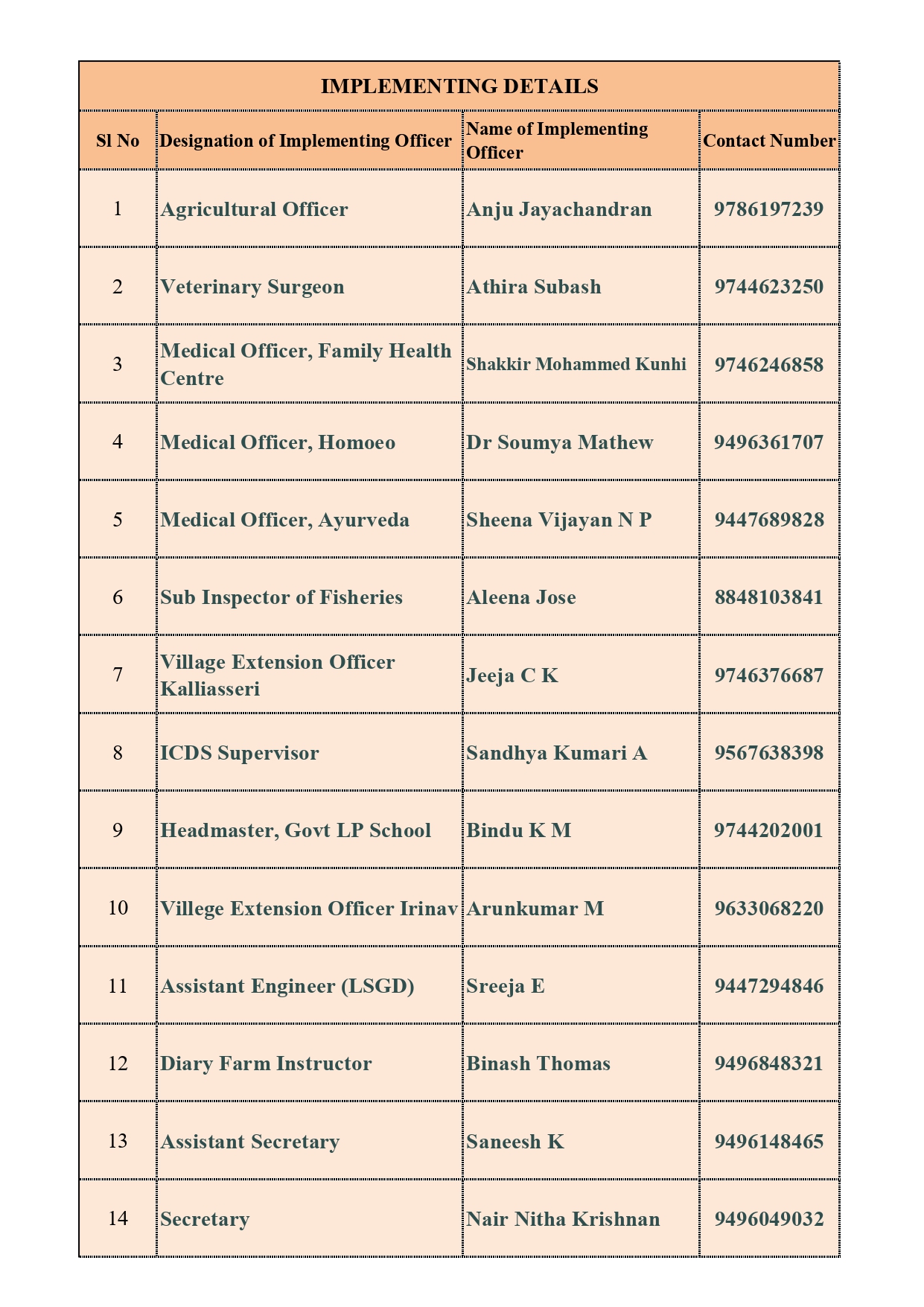 നിർവ്വഹണ ഉദ്യോഗസ്ഥർ