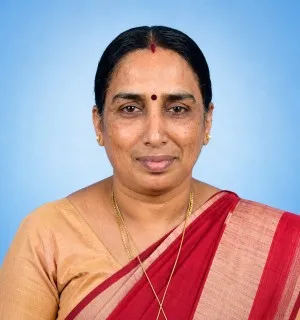 മിനി കെ വി