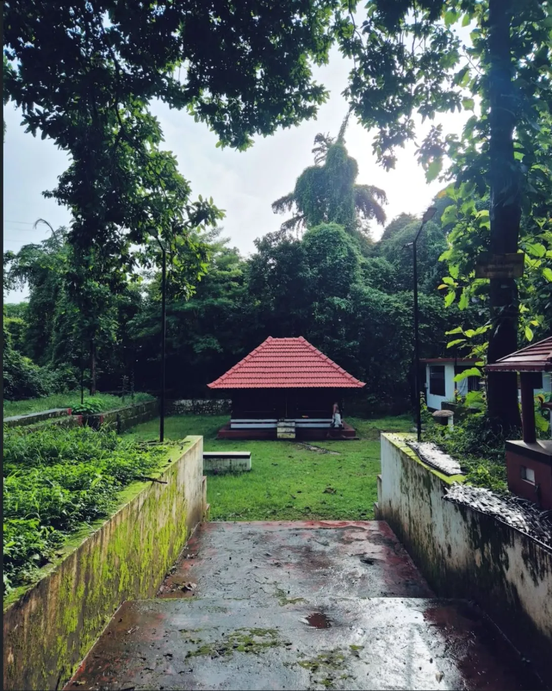 പറപ്പൂൽ കാവ്
