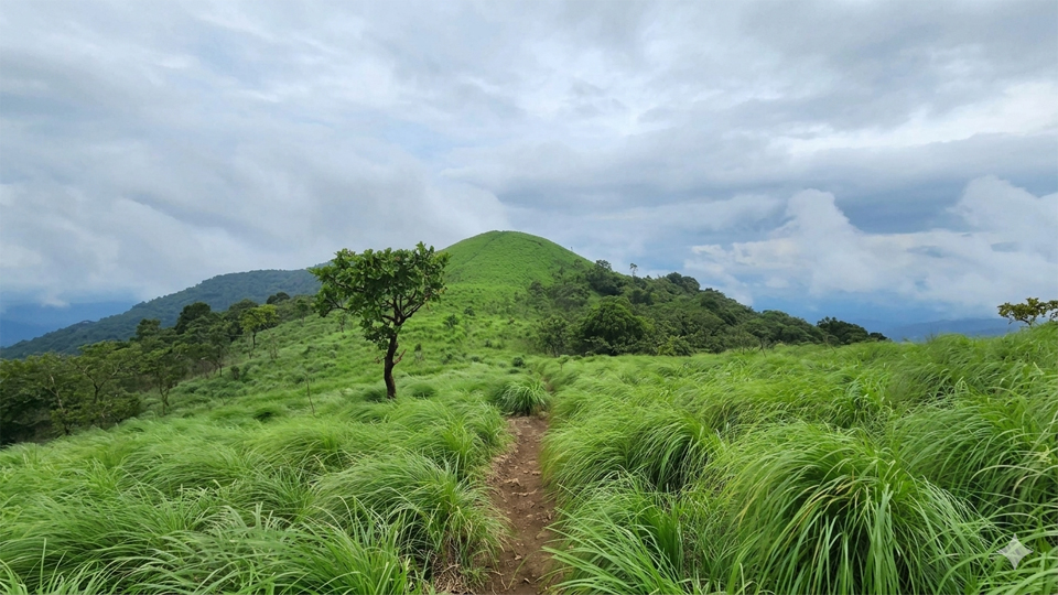 തെരുവ്മല