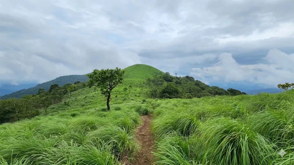 തെരുവ്മല