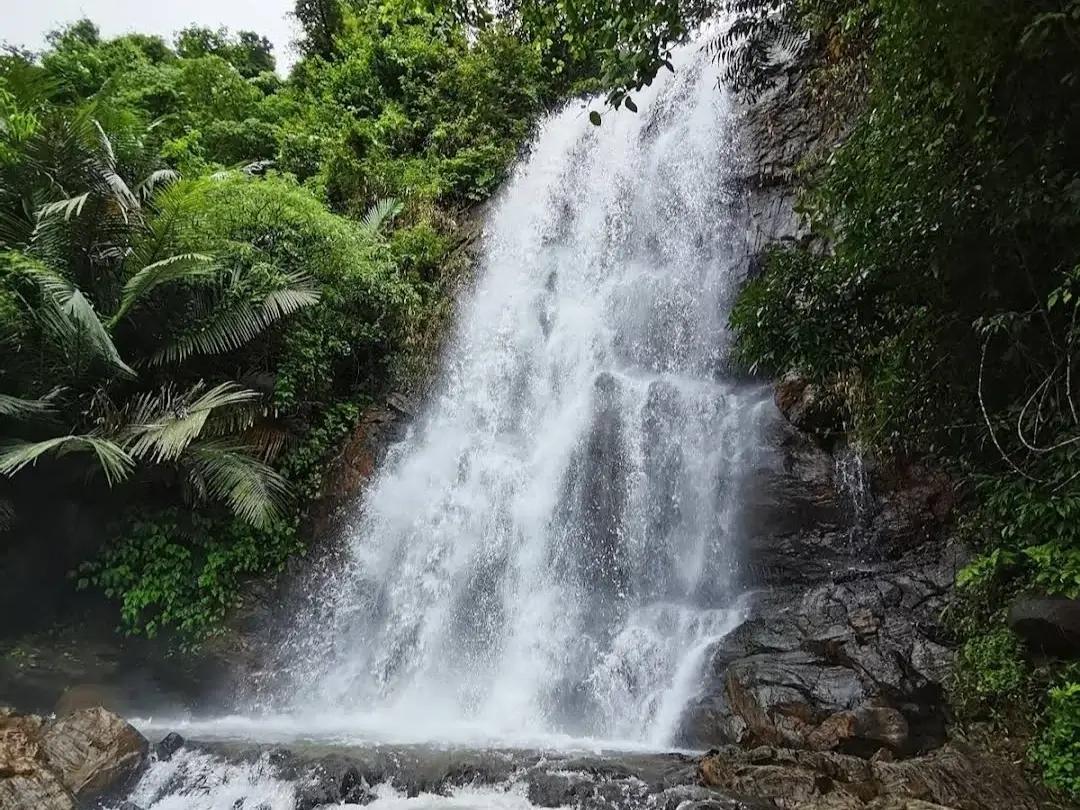 കാപ്പിമല വെള്ളചാട്ടം