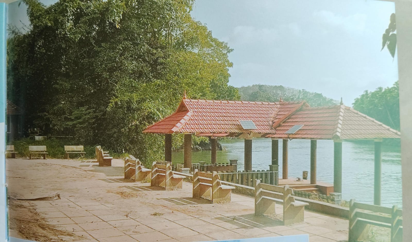 പാർക്ക്