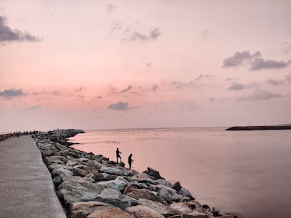 AZHEEKKAL KALLATTI