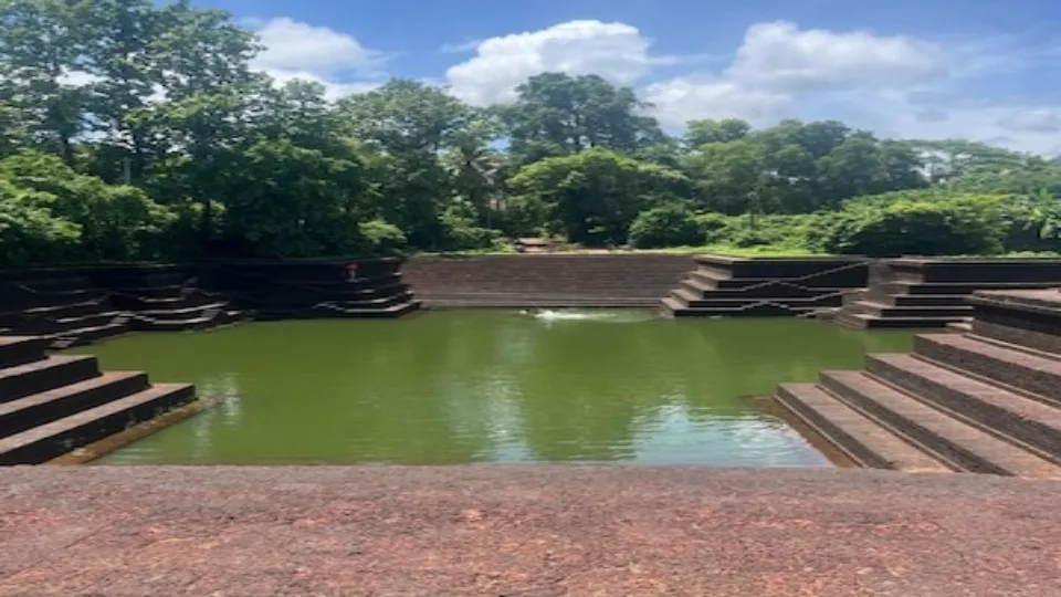 ആയനിവയല്‍ കുളം