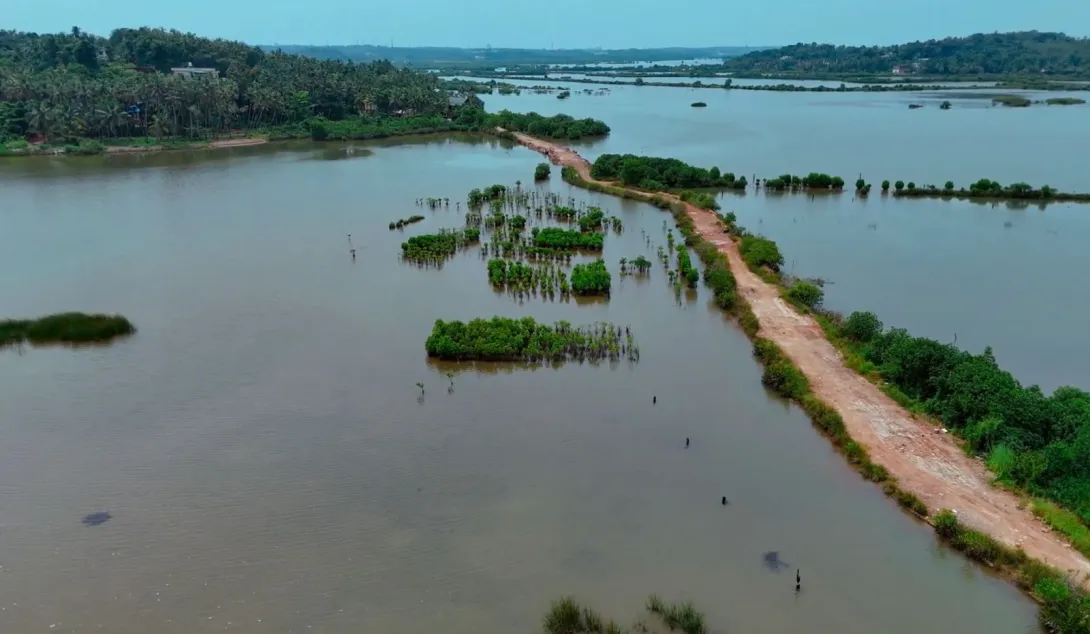 മുണ്ടേരിക്കടവ് പക്ഷി സങ്കേതം