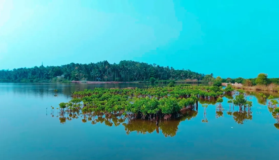 മുണ്ടേരിക്കടവ് 