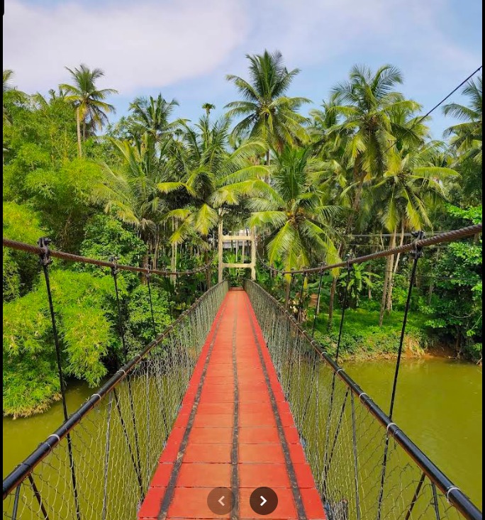തൂക്കുപാലം
