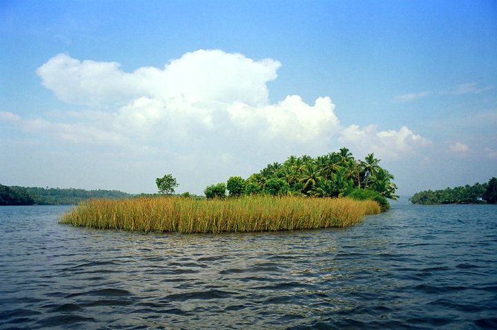 Pamburuthi