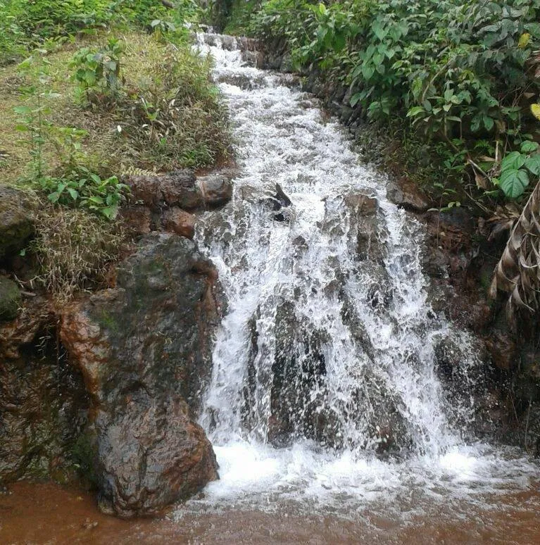 കൊളച്ചേരി പാടി തീർത്ഥം