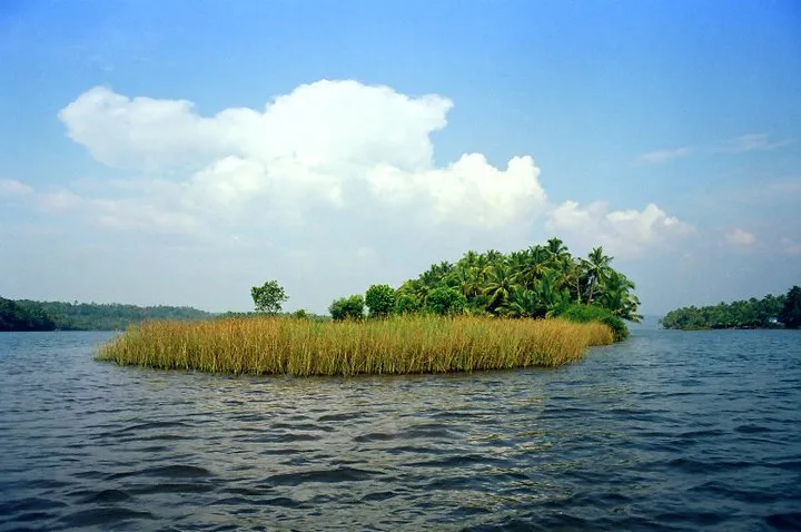 പാമ്പുരുത്തി ദ്വീപ്