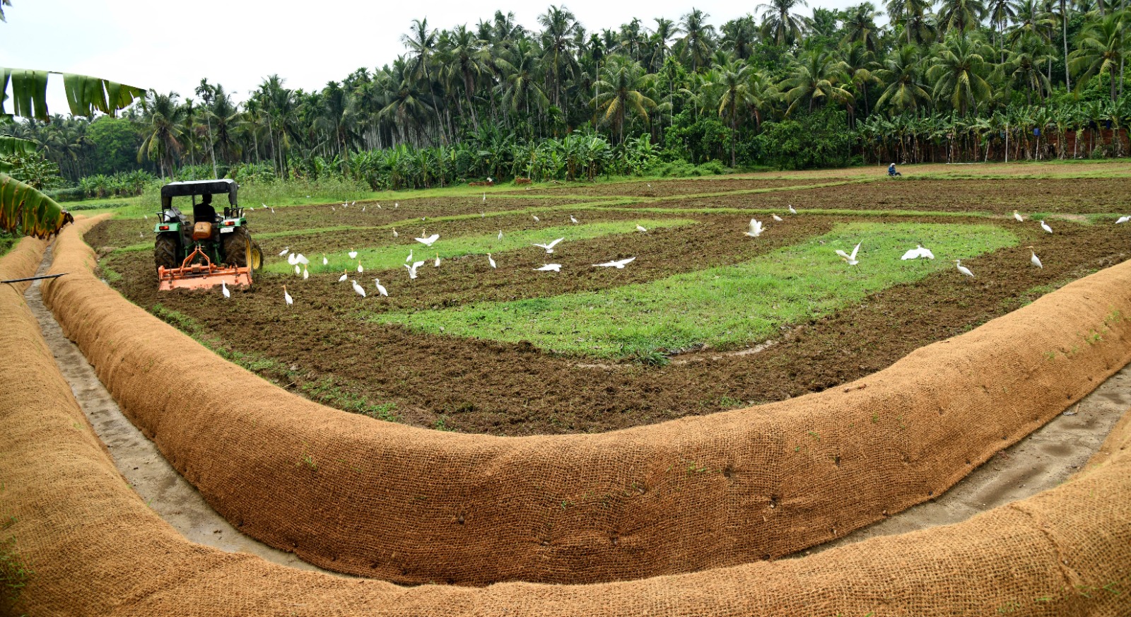 കയർ ഭൂവസ്ത്രവിധാനം
