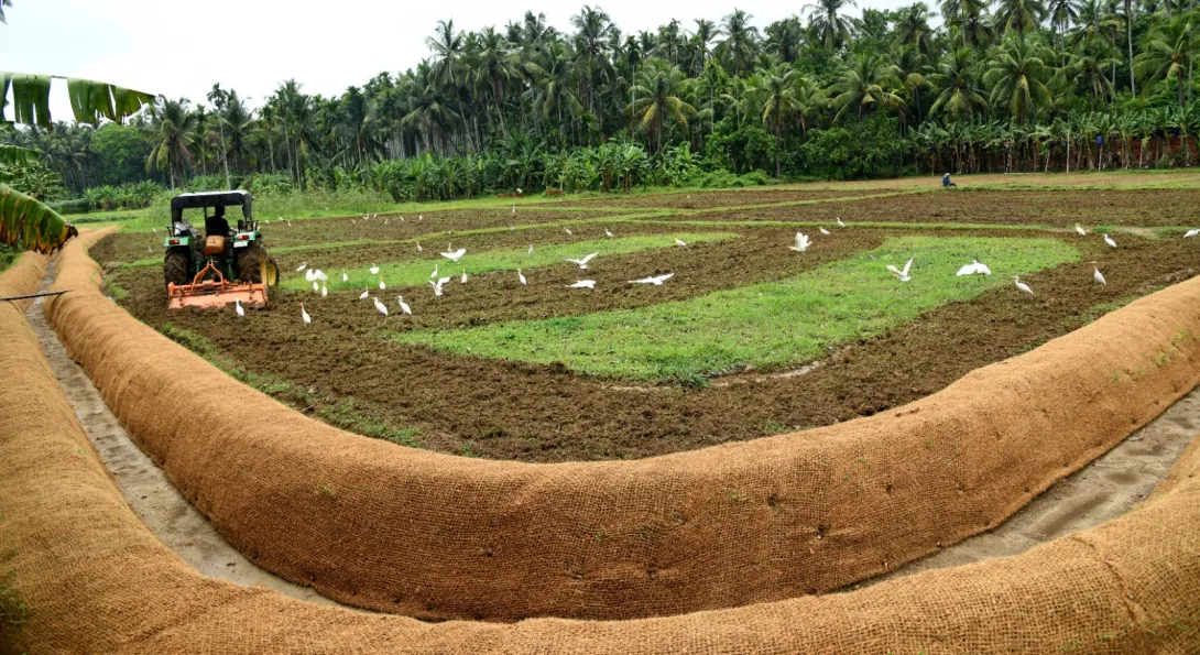 കയർ ഭൂവസ്ത്രവിധാനം