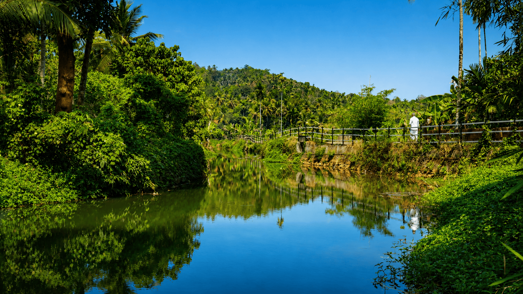 Manchapuzha