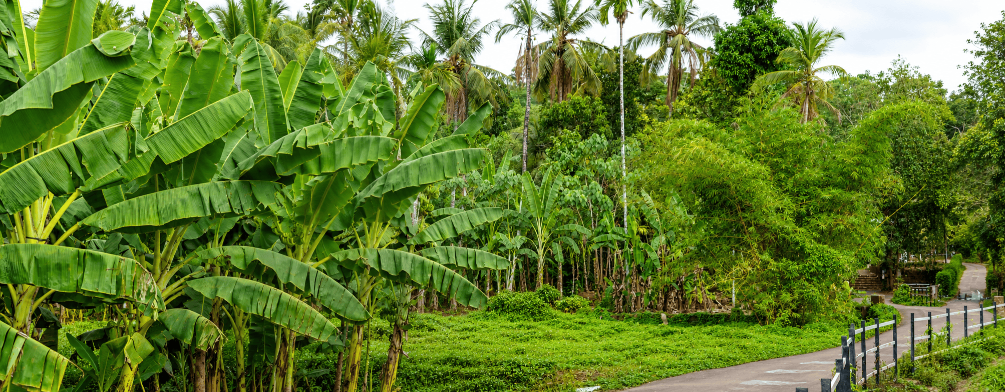 Manchapuzha parisaram