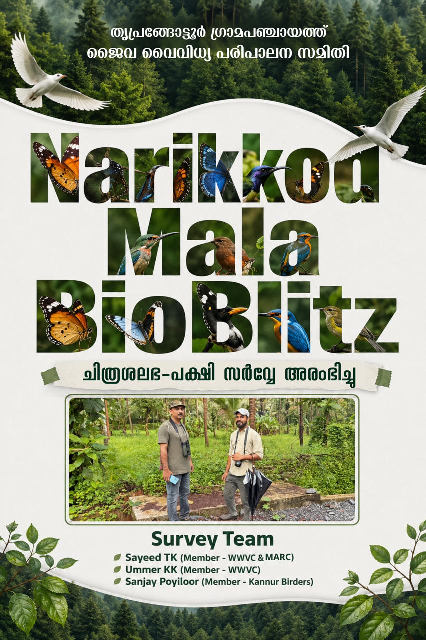 'നരിക്കോട് മല ബയോ ബ്ലിറ്റ്സ്'ചിത്രശലഭ-പക്ഷി സർവ്വേ