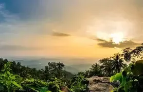 വാഴമല