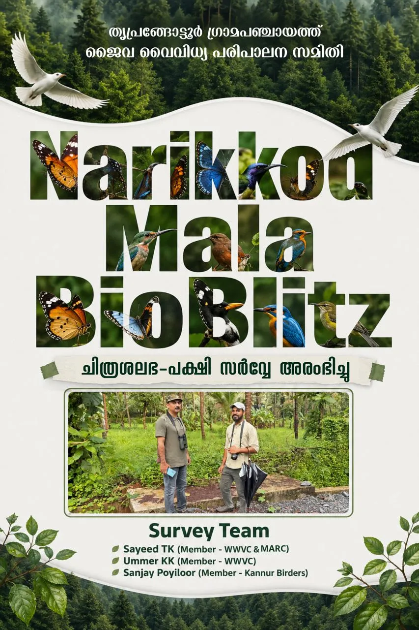 'നരിക്കോട് മല ബയോ ബ്ലിറ്റ്സ്'ചിത്രശലഭ-പക്ഷി സർവ്വേ