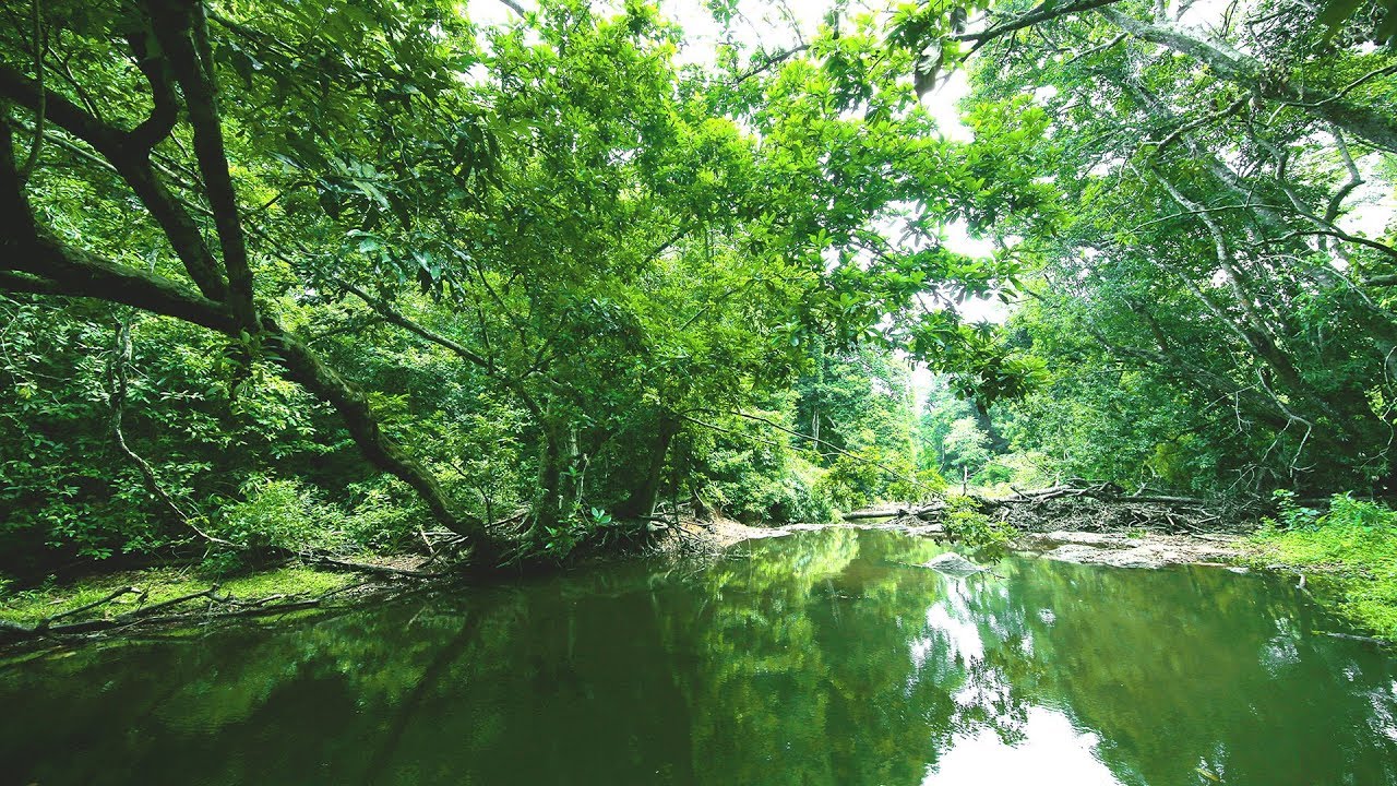 kannavam