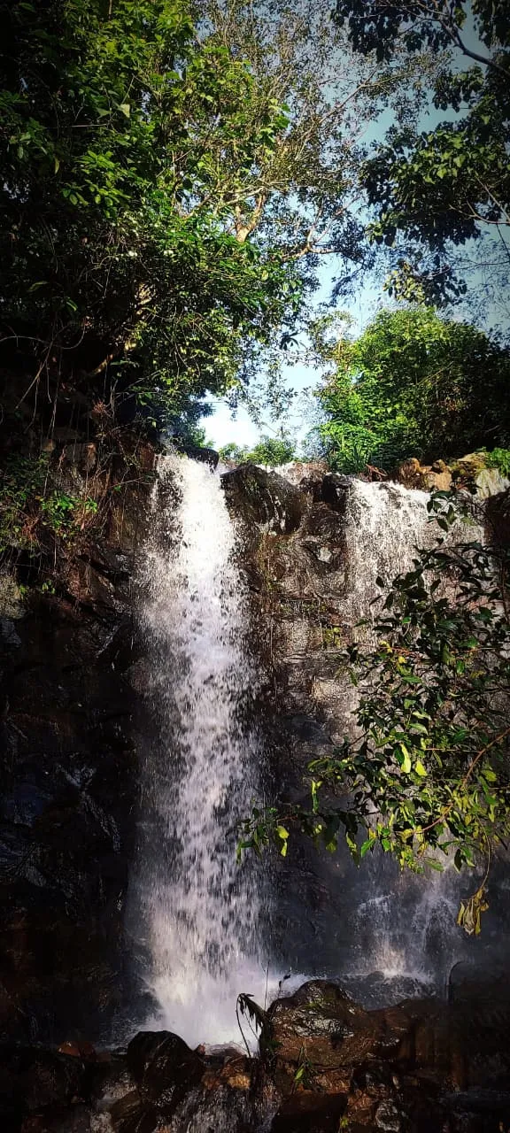 അറക്കൽ വെള്ളച്ചാട്ടം