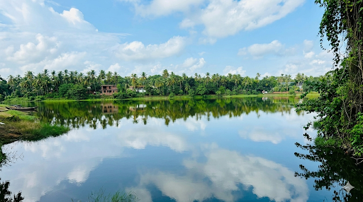 കോട്ടയം ചിറ