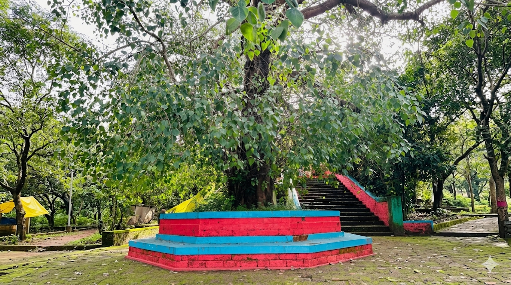 കോട്ടയം തൃക്കൈകുന്ന് അമ്പലം