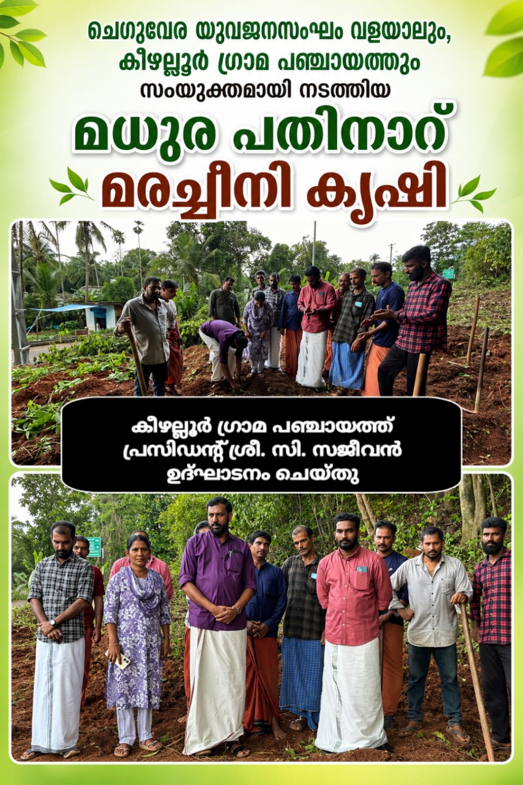 Madhurappathinaaru – Cassava Cultivation