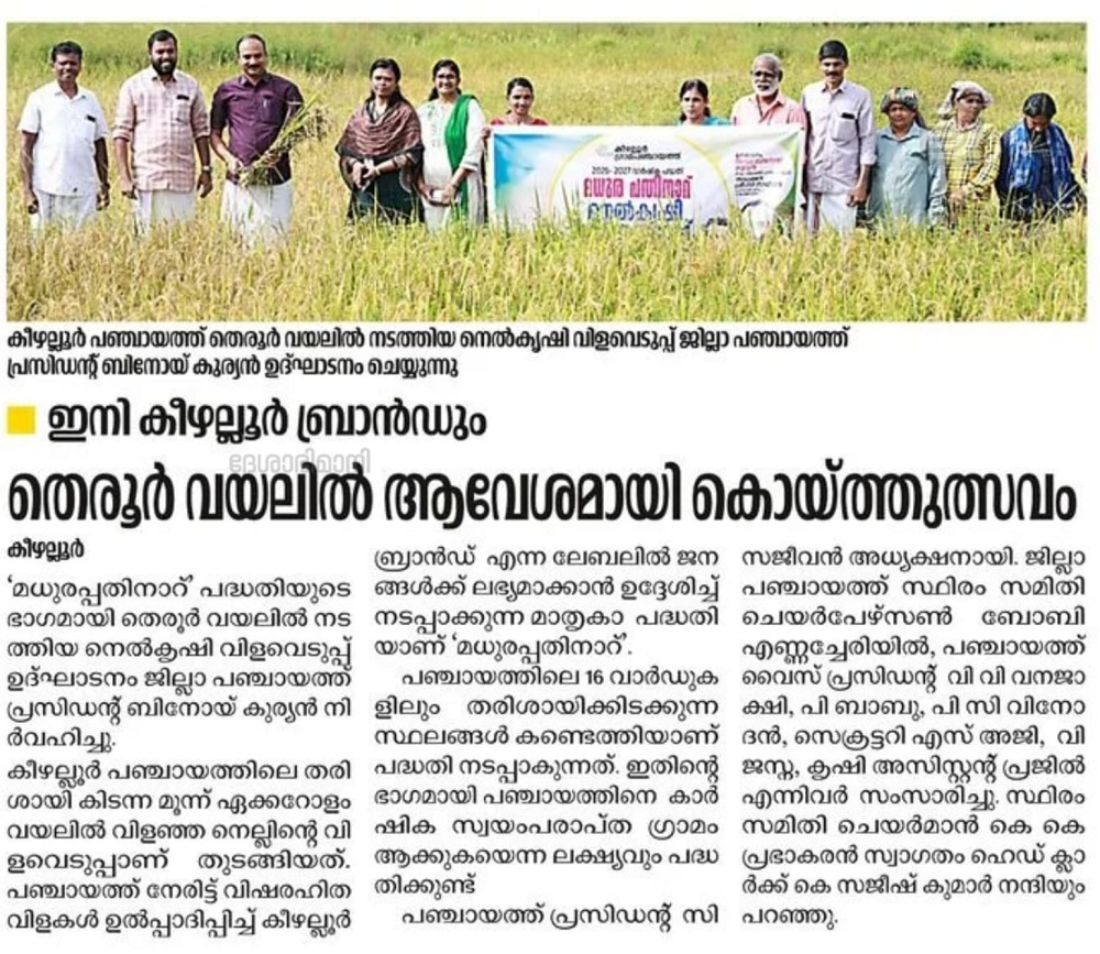 Paddy Farming in Therur Fields
