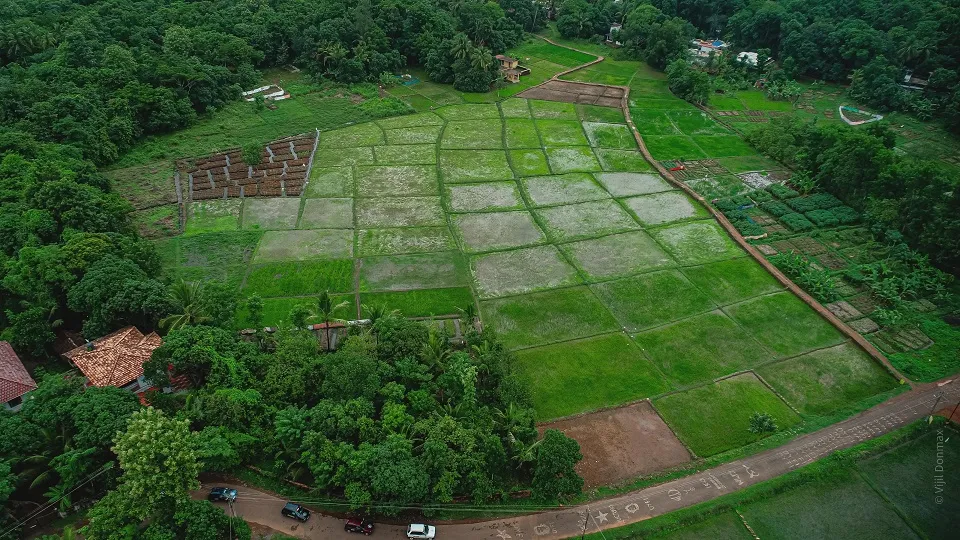 തെരൂര്‍ വയല്‍