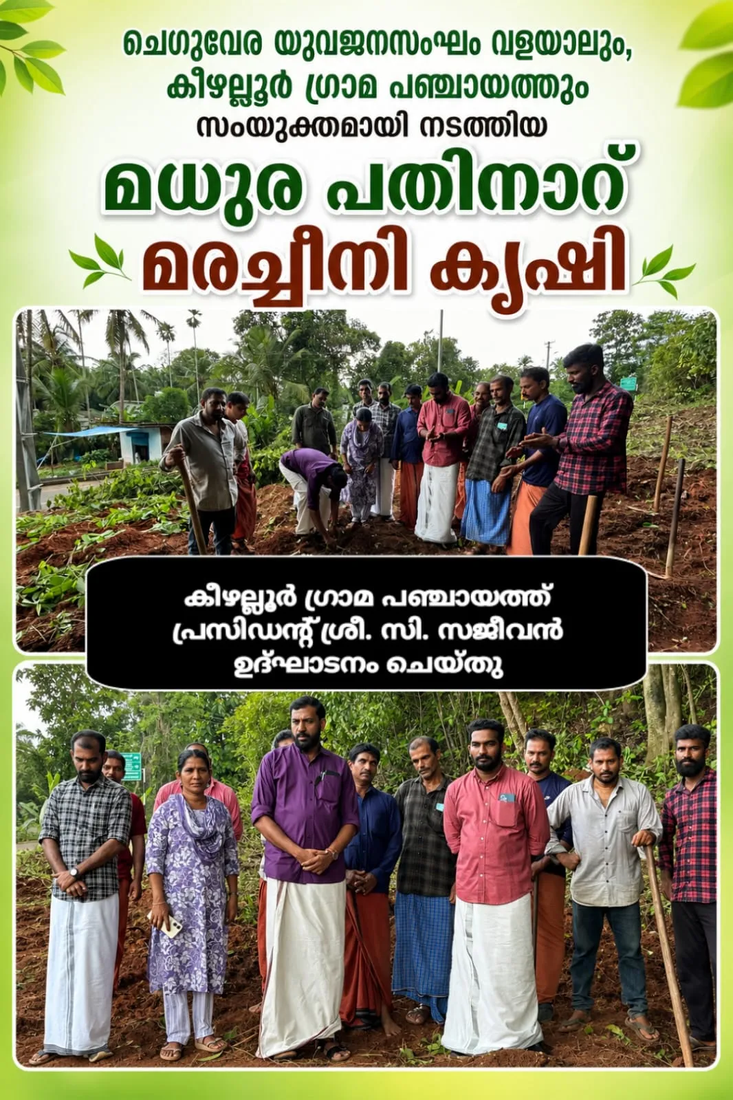മധുരപ്പതിനാറ്- മരച്ചീനി കൃഷി