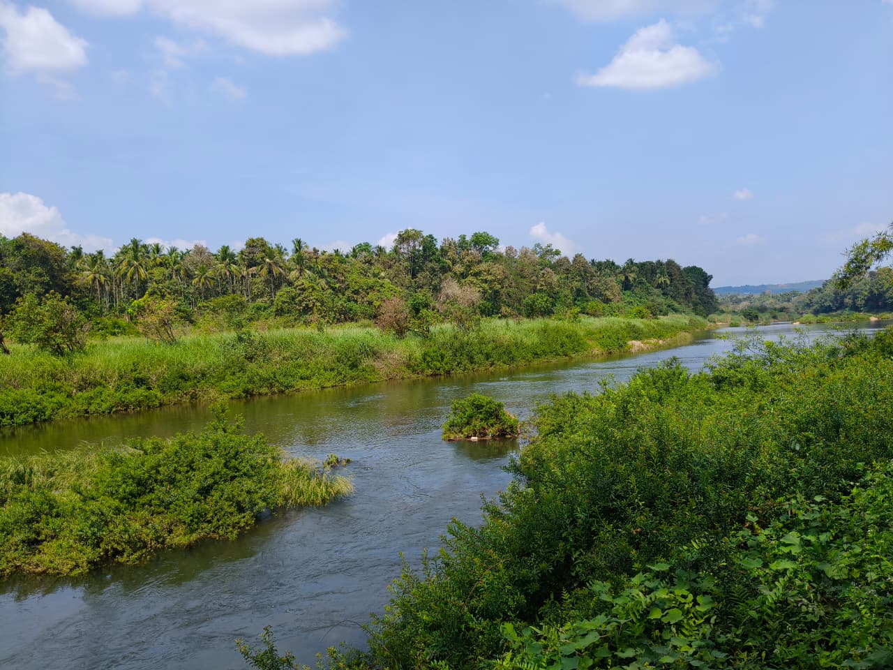 നിടുകുളം കടവ് തുരുത്ത്