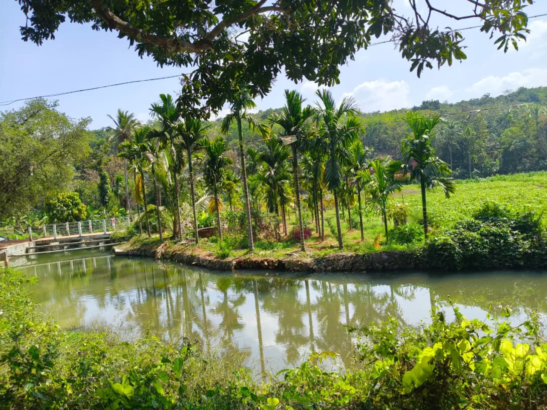 കൊടോളിപ്രം ഇല്ലത്തുംതാഴെ വി സി ബി