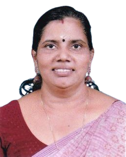 ജെസ്സി പി എൻ