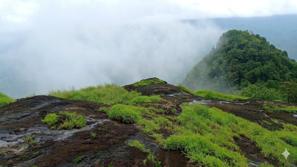 PALUKACHIMALA