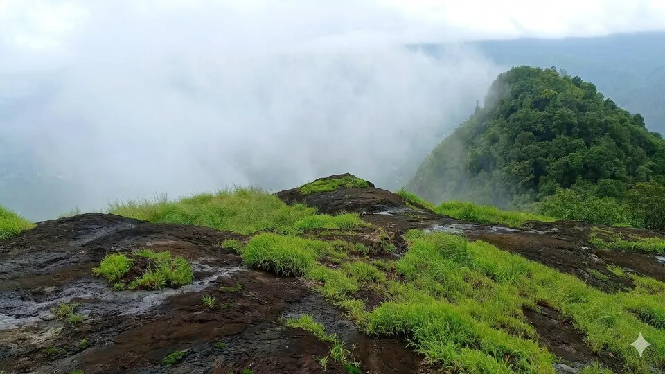 പാലുകാച്ചിമല
