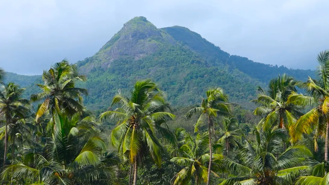 പാലുകാച്ചി മല