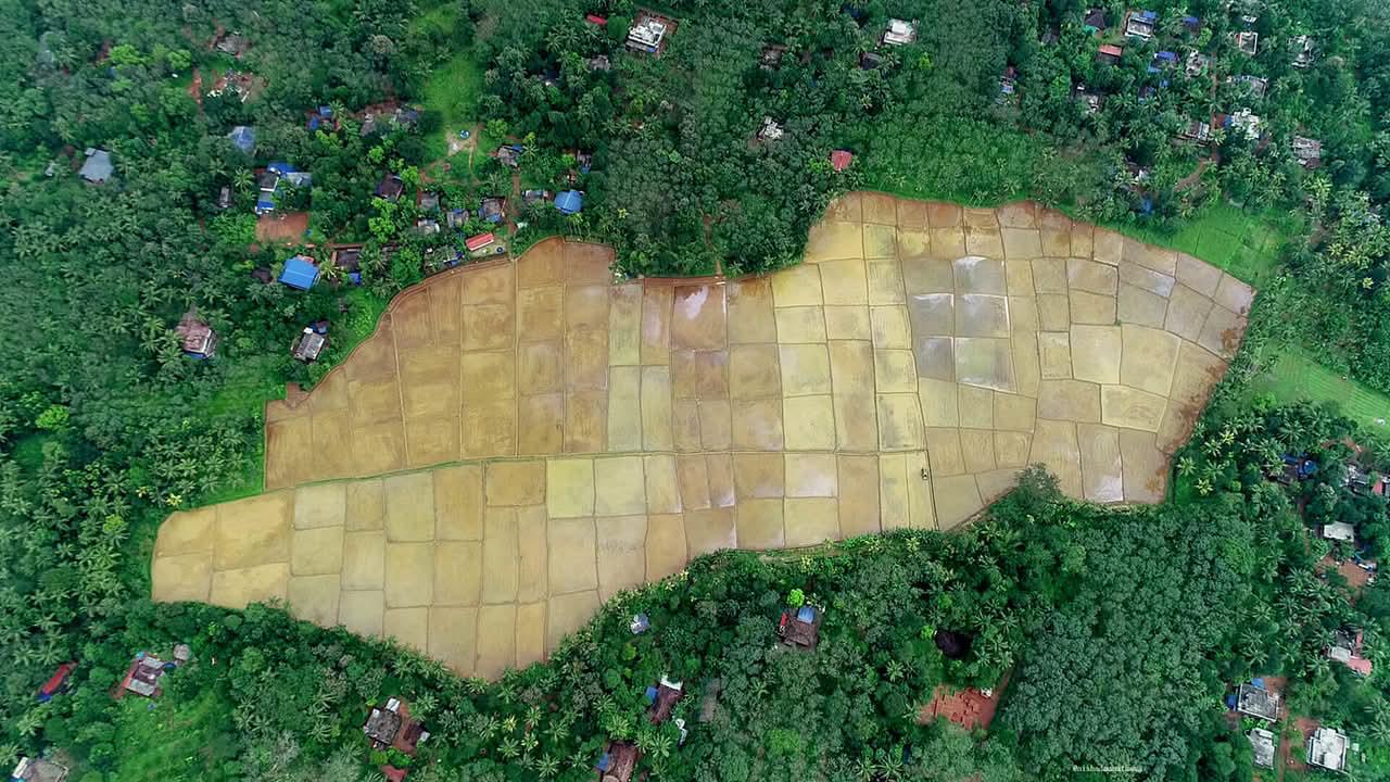 വളയങ്ങാട് പാടശേഖരം