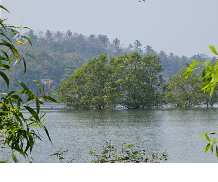 അനാടിപള്ളം 